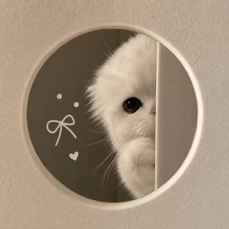 admin profil fotoğrafı